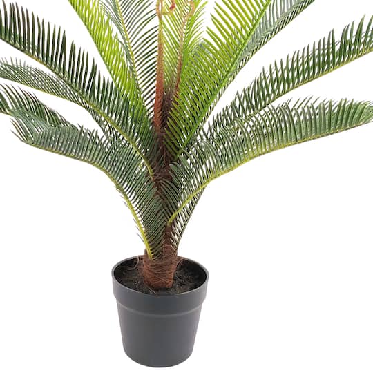 2ft. Premade Potted Sago Palm Plant by Ashland®